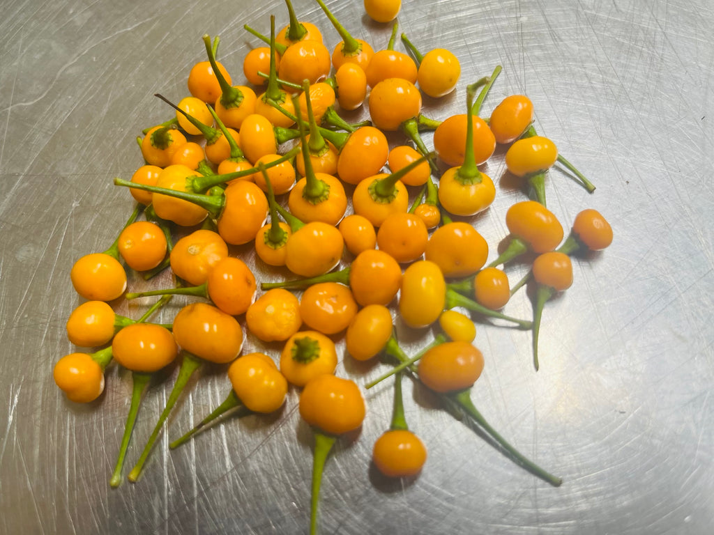 Ají charapita fresca